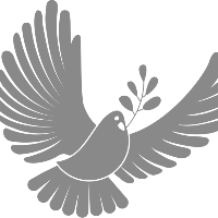 伊藤雄大's avatar